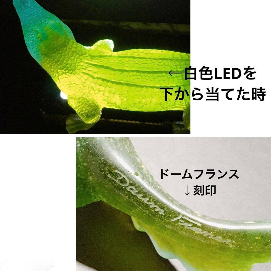 ワニ アリゲーター クリスタル 水晶 ドーム フランス ナンシー