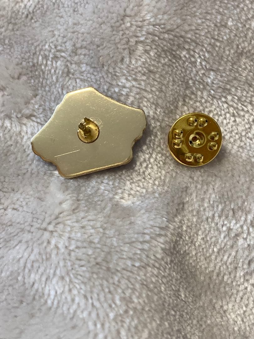 富士山登山ルート3776 世界文化遺産登録10周年　ピンバッジ