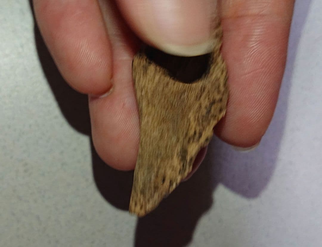 香木 沈香 伽羅 聞香◎品名極上カンボジア産奇形種