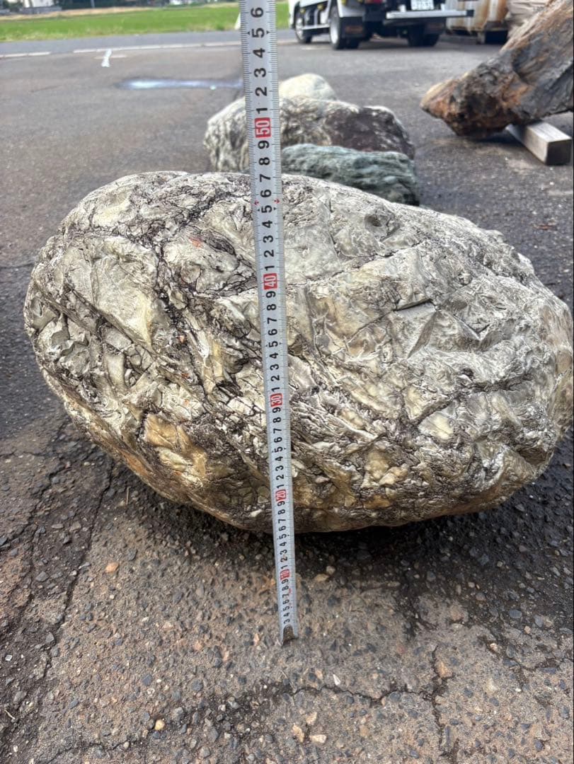 小滝川採取 天然石 庭石 約60cm級 真贋不明