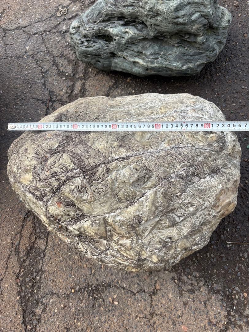 小滝川採取 天然石 庭石 約60cm級 真贋不明