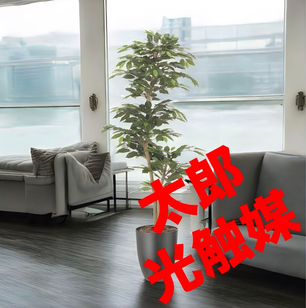 光触媒　人工観葉植物　フェイクグリーン　インテリアベンジャミン1.6