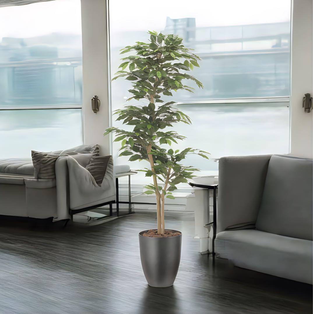 光触媒　人工観葉植物　フェイクグリーン　インテリアベンジャミン1.6