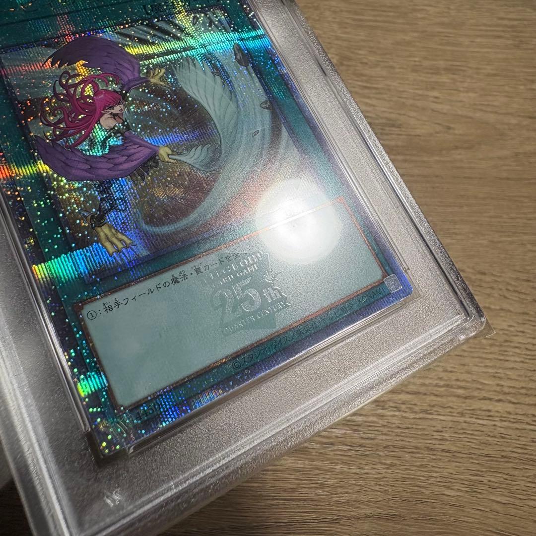 鑑定品 PSA10 】 極美品 ハーピィの羽根帚 25th クオシク 絵違い