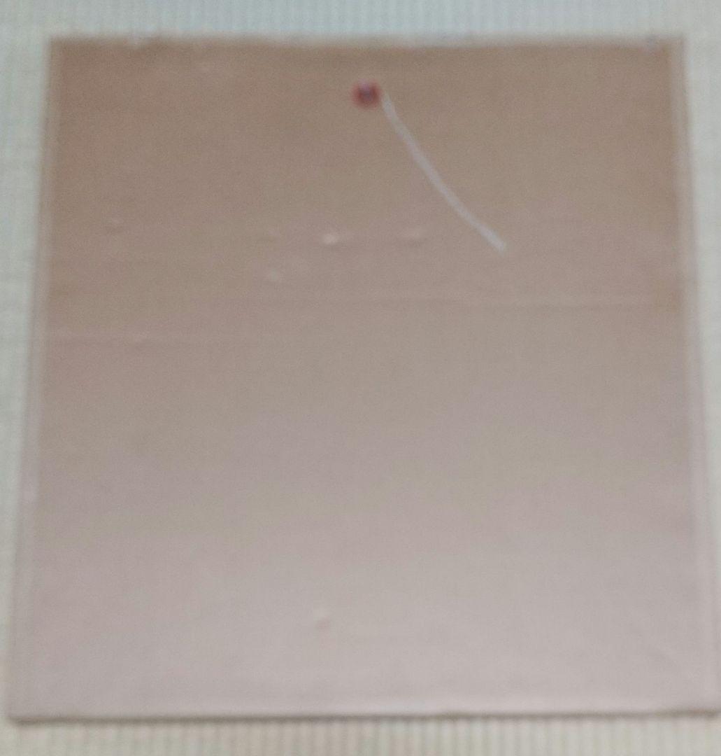 津田李穗「栗」ミックスメデイア