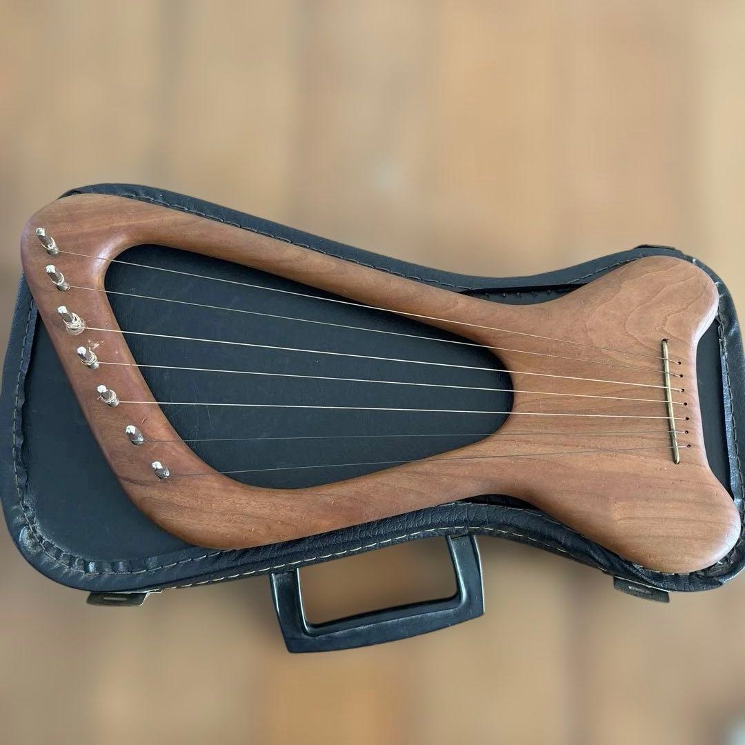 キンダーライアー ペンタトニック シュタイナー教育 訳あり