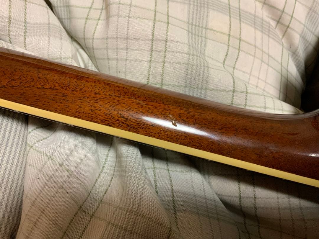 Takamine ts-600 トップ単板