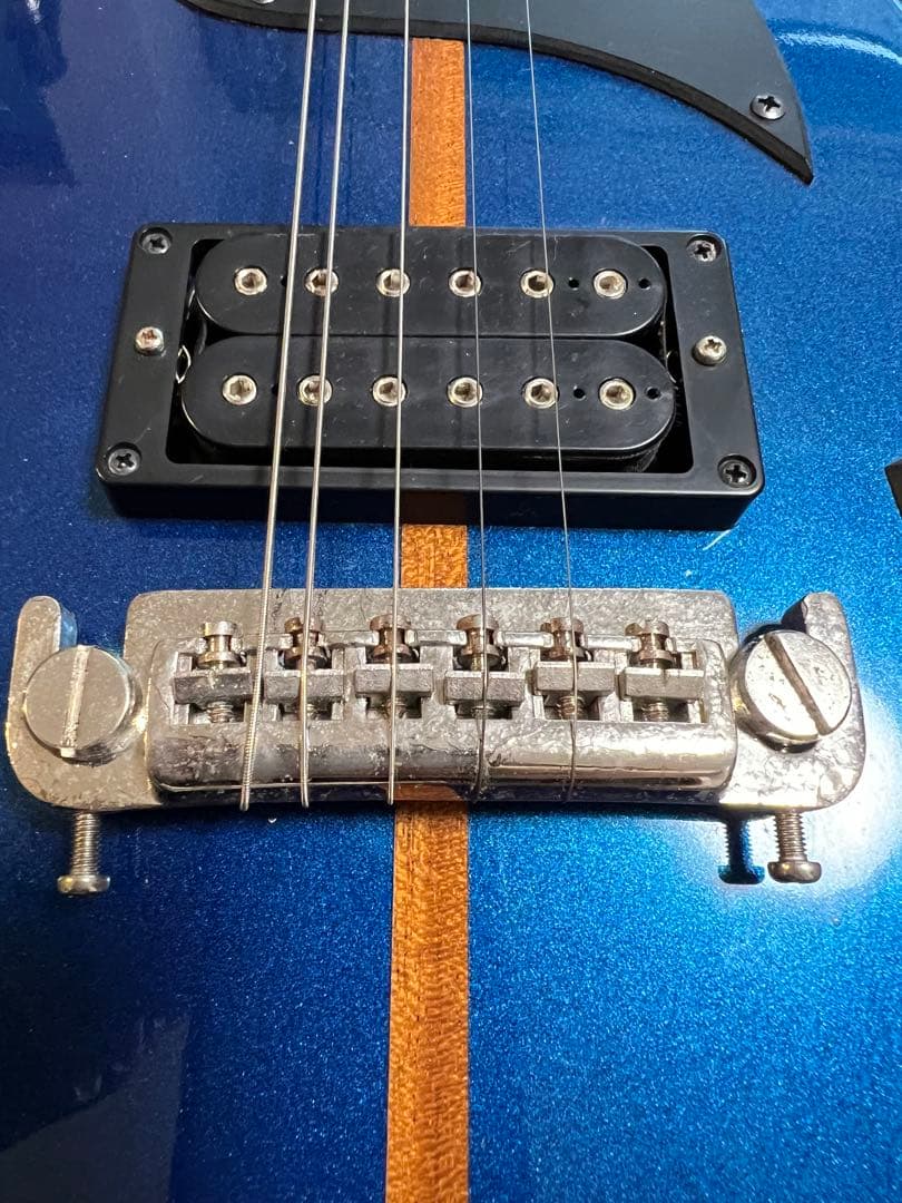 H.S.Anderson Houston（アップルギター）専用ソフトケース