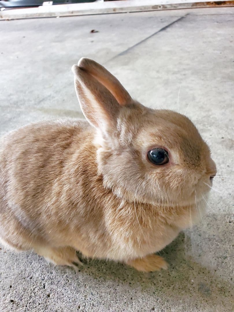 コメント前にプロフィール必ず必読