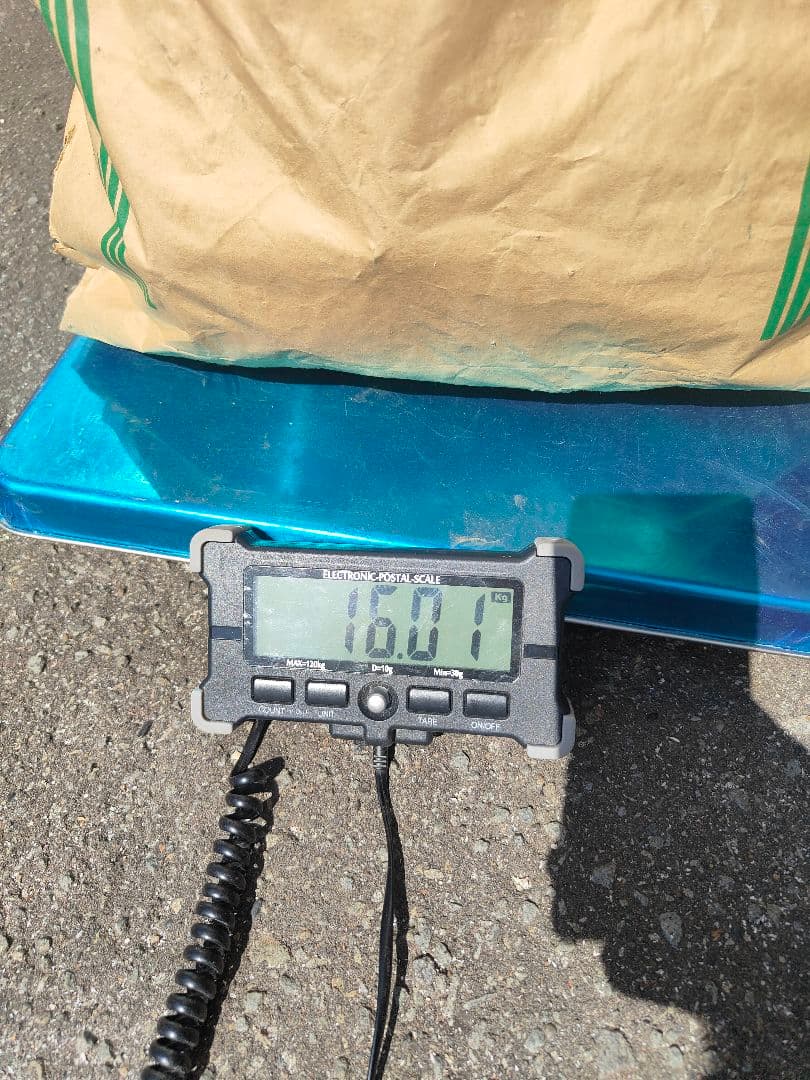 鹿の角 端材16kg - その他安い 通販