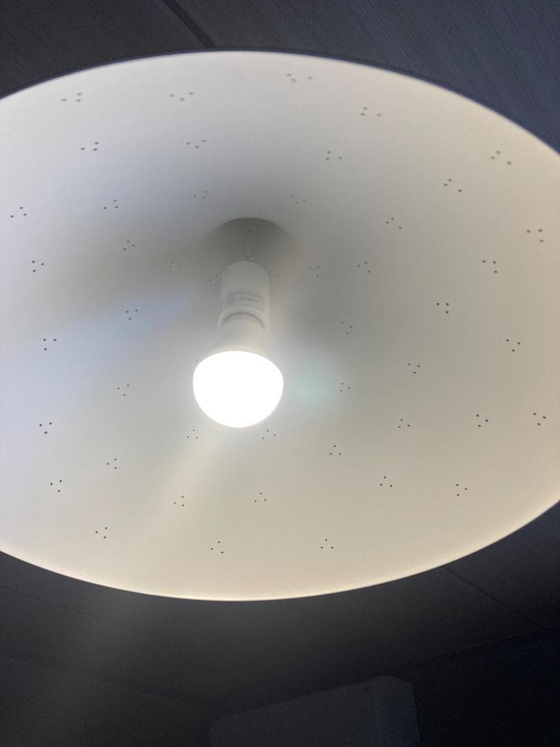 リサ　ヨハンソン　パッペ　ペンダントライト　リプロダクト　シルバー