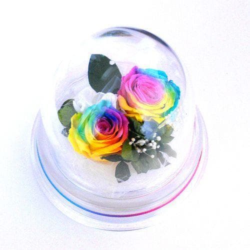 楽天 Amazon Yahooランキング1位☆✿ ♬ レインボーローズプチドーム