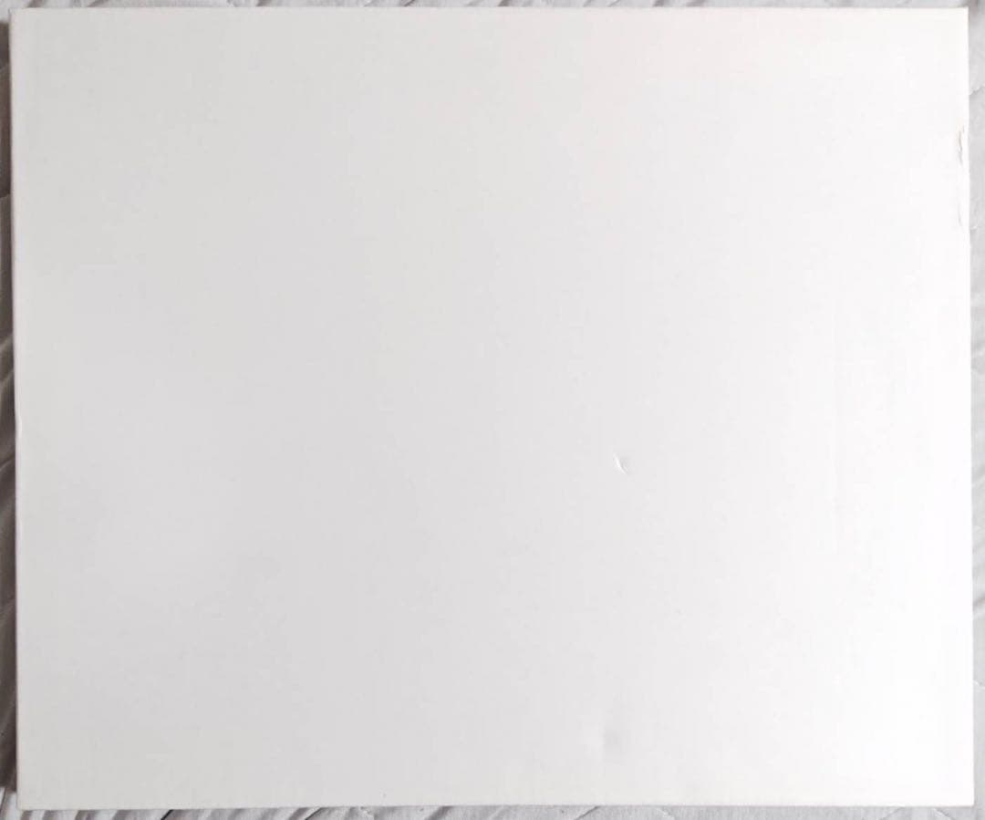 フリップフラッパーズ 直筆サイン入り 複製原画 - メルカリ