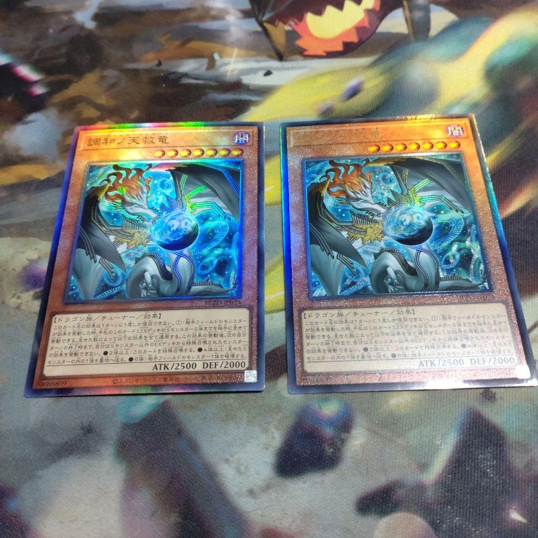 調和ノ天救竜 レリーフ2枚 - メルカリ