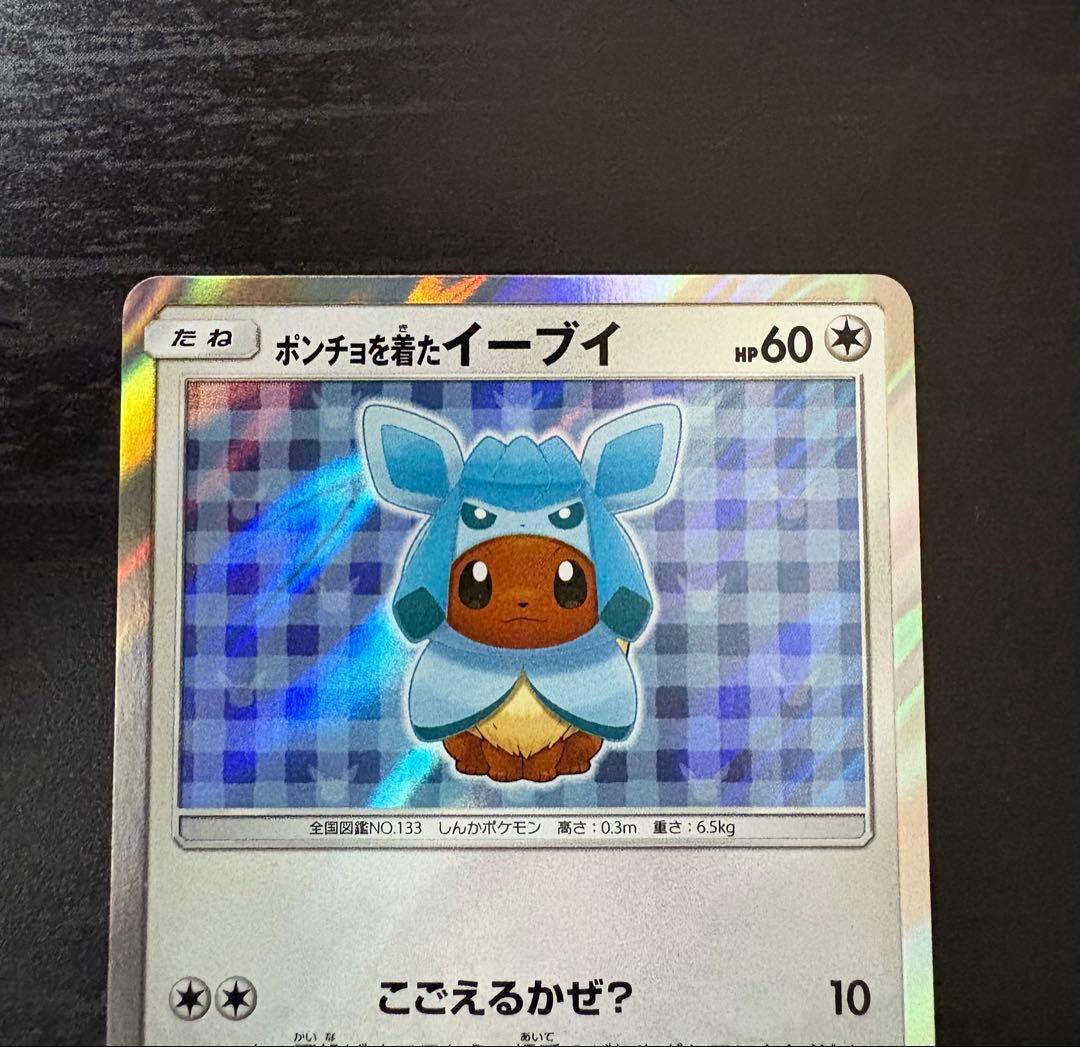 ポンチョを着たイーブイ 143/SM-P