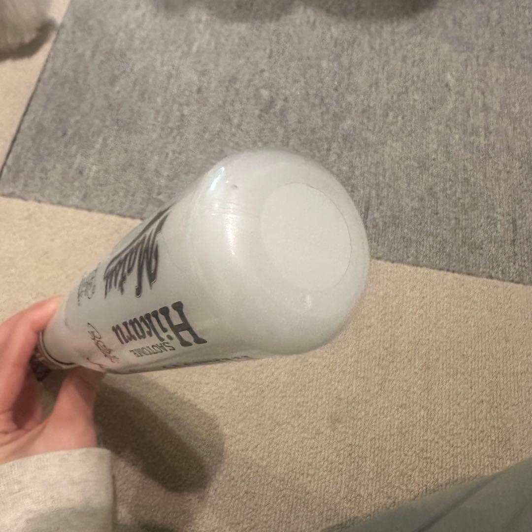 氣志團 ・マイペンライ（マラカス付きペンライト） 氣志團 ペンライト