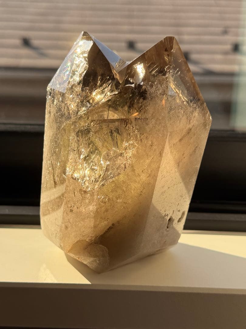 【ちり】6点おまとめセット