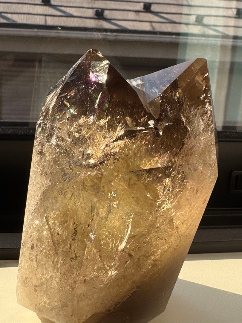 【ちり】6点おまとめセット