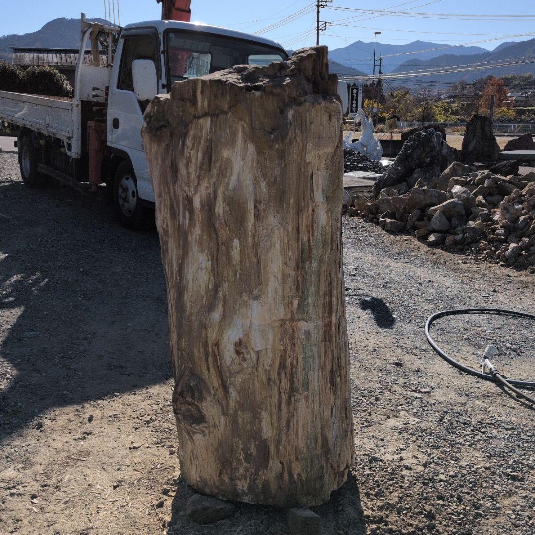 秋田産　珪化木　613キロ　庭石　石 鑑賞石　石材　庭　坪庭　ガーデニング