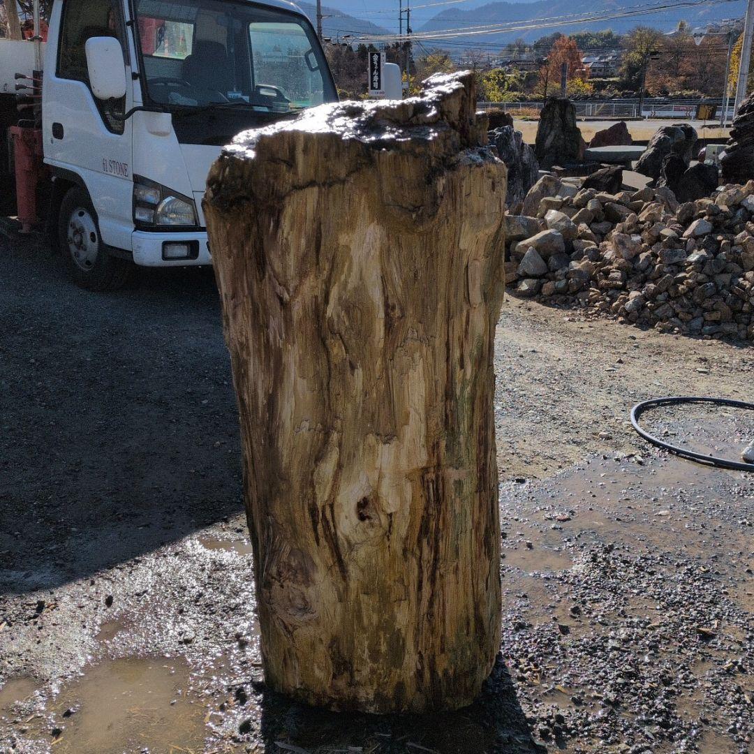 秋田産　珪化木　613キロ　庭石　石 鑑賞石　石材　庭　坪庭　ガーデニング