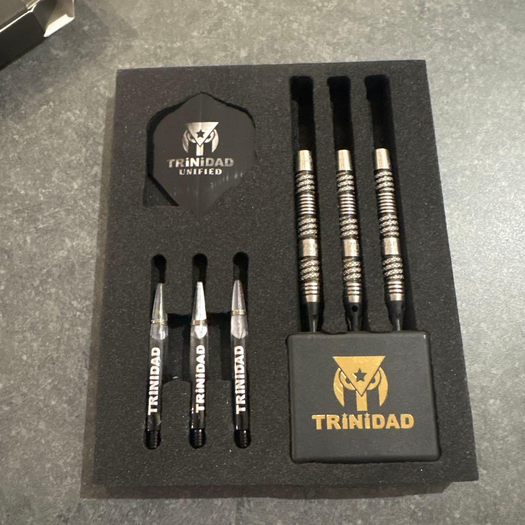 リカルドレイジー エスダーツ 限定モデル ダーツ 浅田斉吾 松吉輝宗