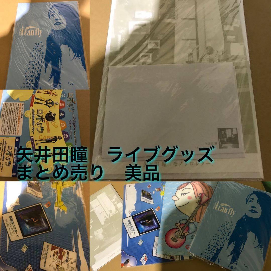 矢井田瞳さん 非売品グッズ ライブグッズ など - メルカリ
