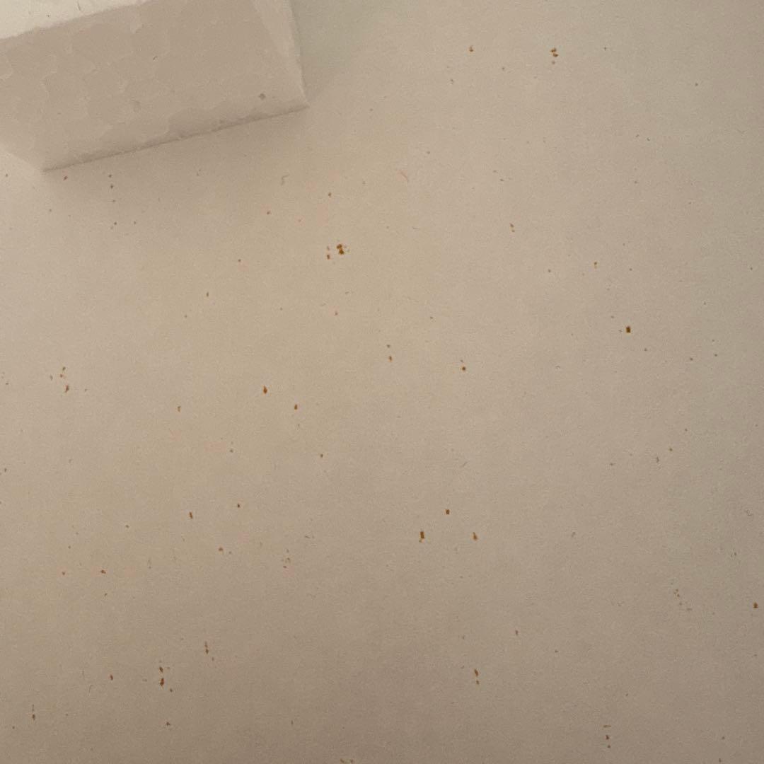 ノリタケローズパティオ 時計