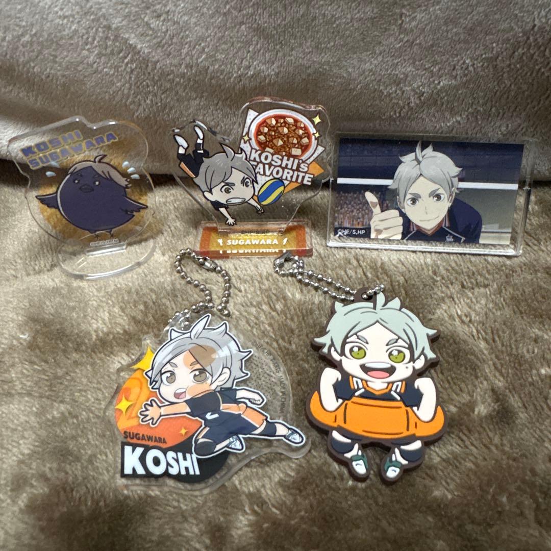 ハイキュー 烏野高校 菅原孝支 まとめ売り - メルカリ