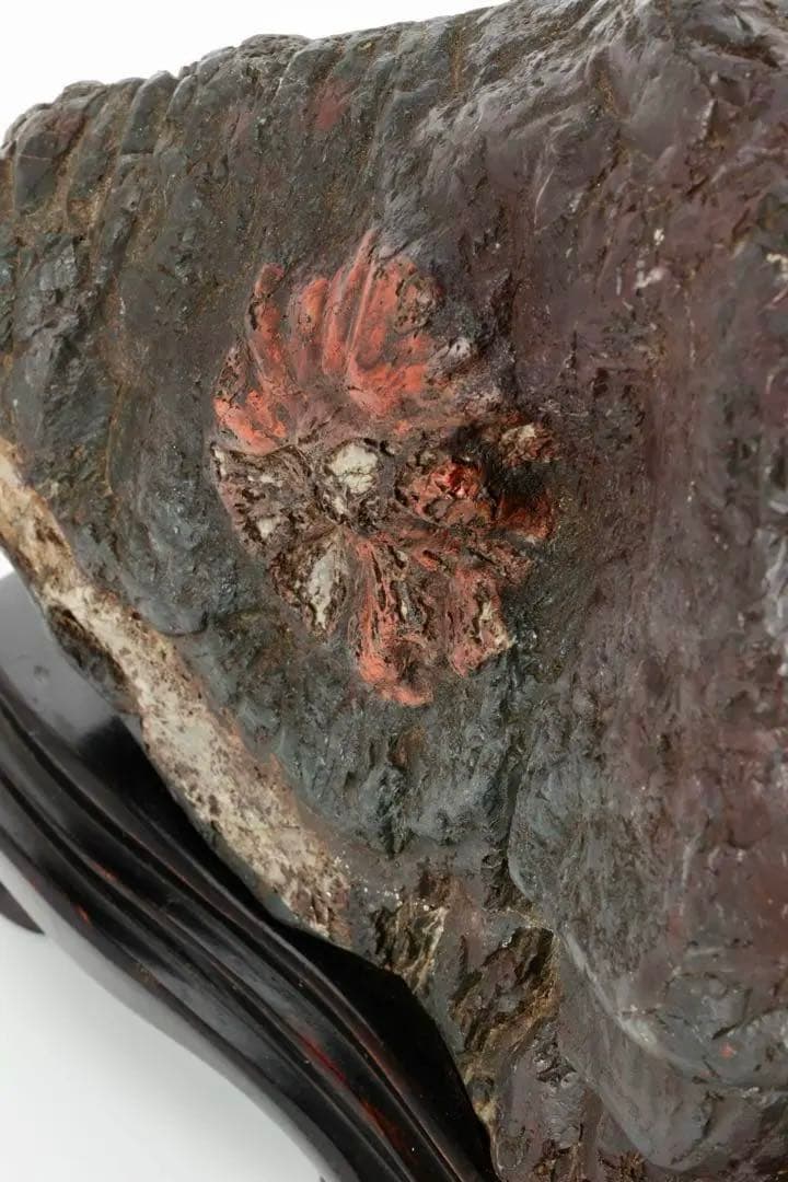 天然菊花石 大輪 赤花 台座付 19.8kg 鑑賞石 原石 水石 紋石 美石