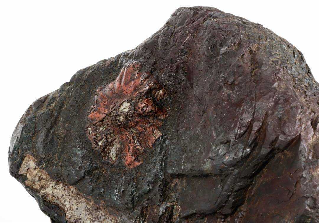 天然菊花石 大輪 赤花 台座付 19.8kg 鑑賞石 原石 水石 紋石 美石