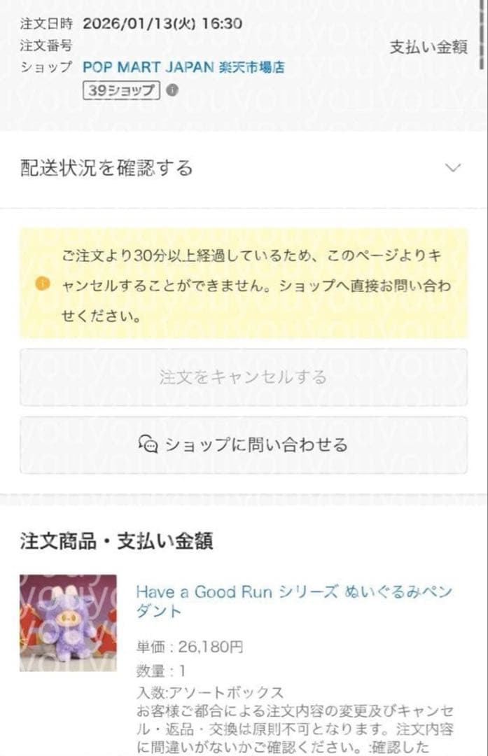 【正規品】POPMART SKULLPANDA × XG 馬力全開