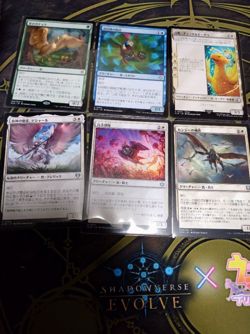 【MTG】【統率者】桃源郷の探求者、チョコ