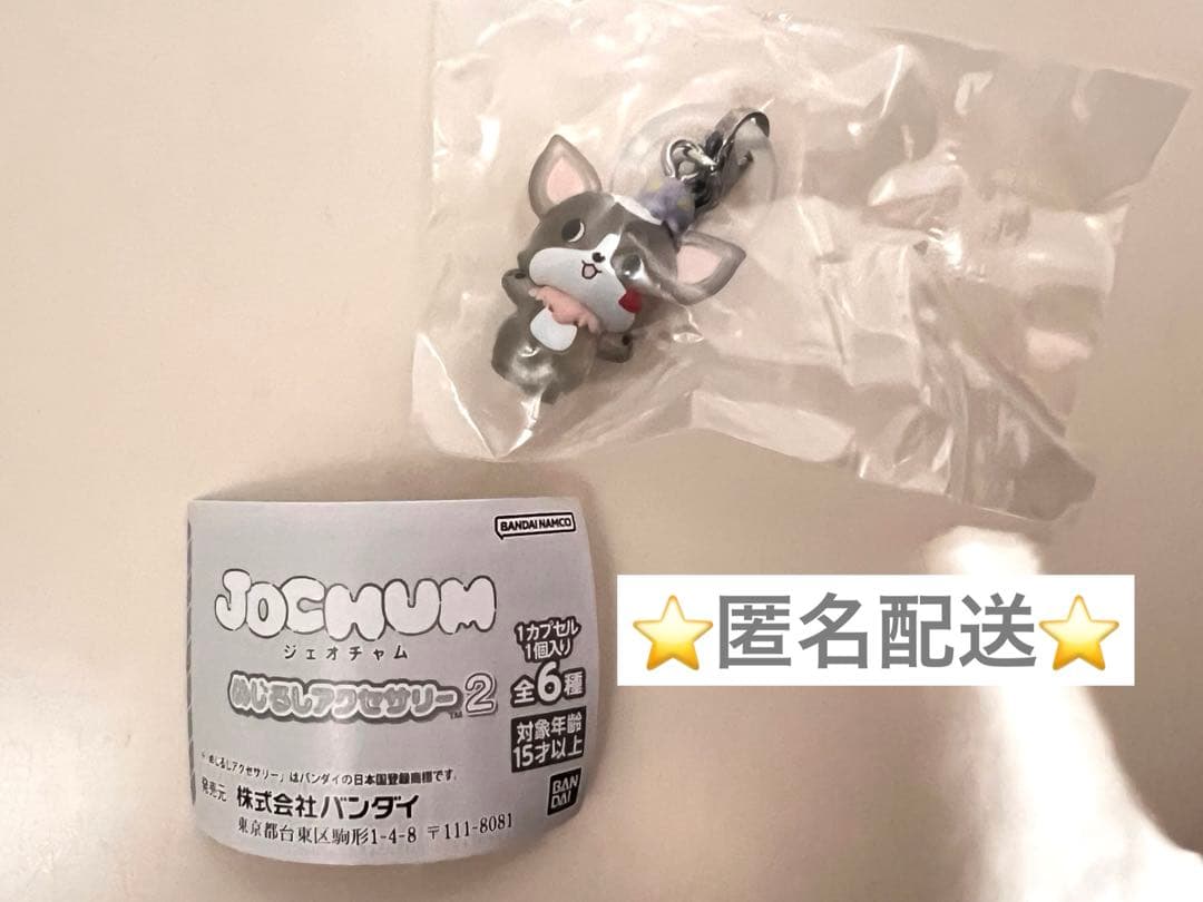 JOCHUM ジェオチャム めじるしアクセサリー チュララ 鶴房汐恩 JO1