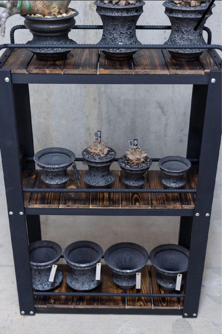 o*.様 男前インテリア　植物棚　棚　収納　国産桧　ディスプレ　多肉植物　アガベ