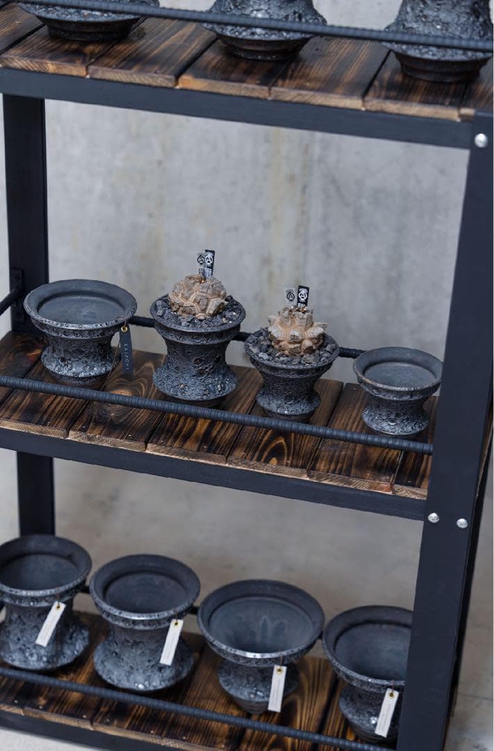 o*.様 男前インテリア　植物棚　棚　収納　国産桧　ディスプレ　多肉植物　アガベ