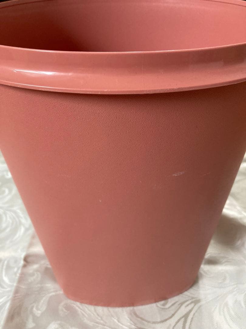 Tupperware タッパーウェア　マキシクィーンデコレーター　2個セット