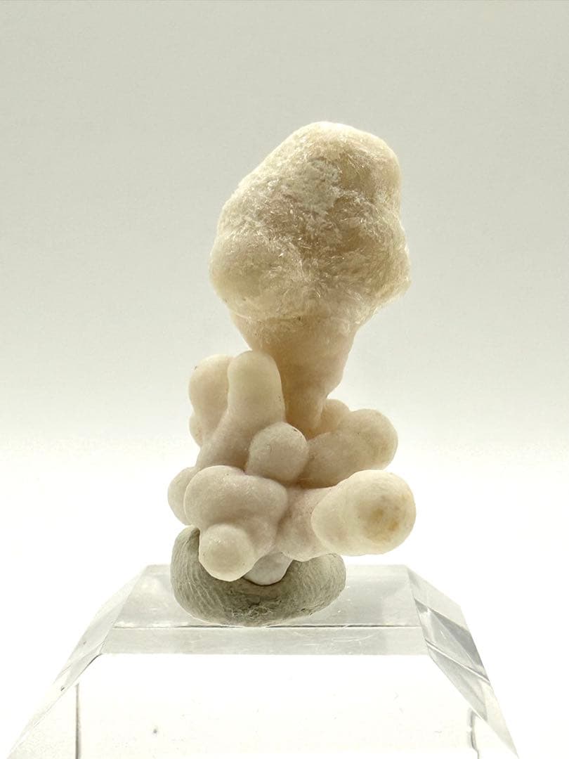 アラゴナイト カルサイト 原石 鉱物 標本 天然石 石 - メルカリ