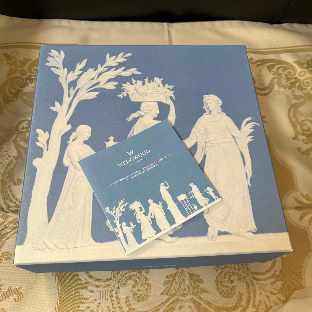 月末限定価格［新品］ワイルドストロベリー•フルリム　プレート5枚