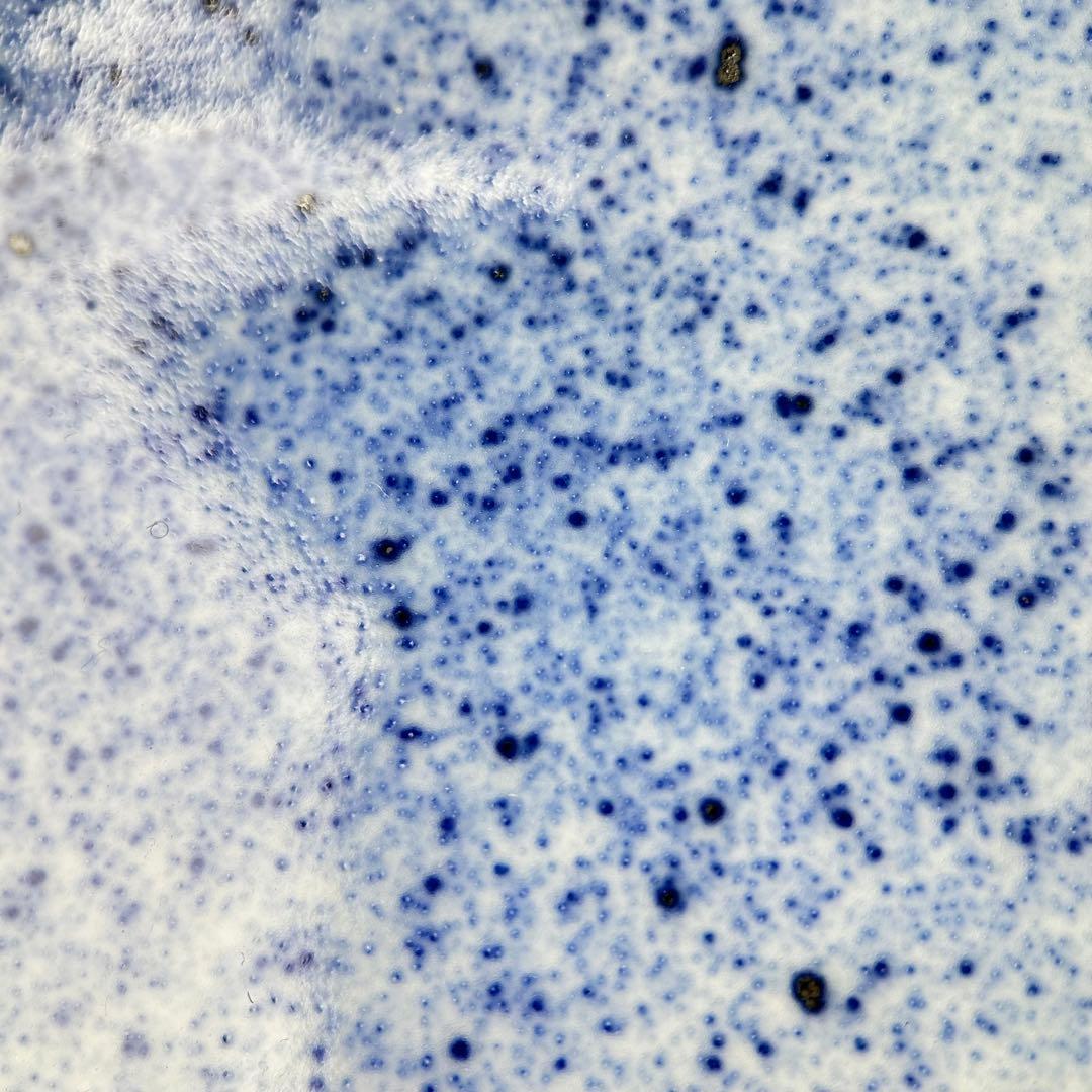 A059古染付 鰒盛付 淡幽造 五山窯 青白い陶器のボウル 木箱付き