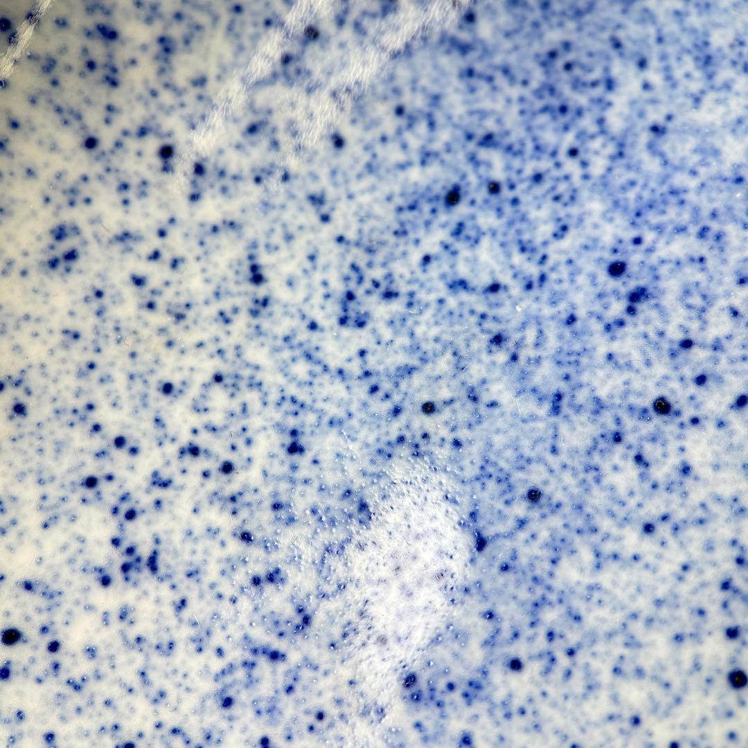 A059古染付 鰒盛付 淡幽造 五山窯 青白い陶器のボウル 木箱付き