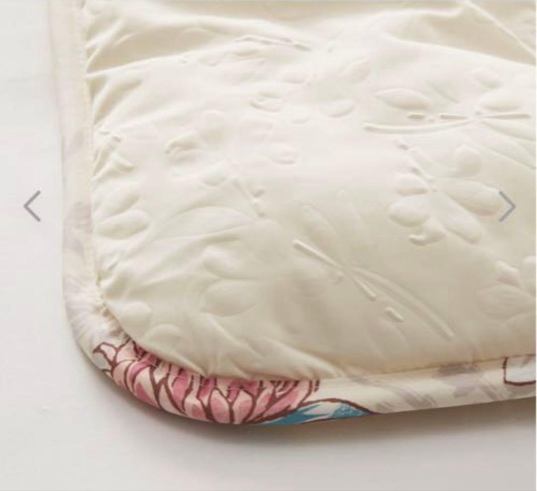 モリリン MRDメルティーリッチダウン敷きパッド＜セミダブル＞