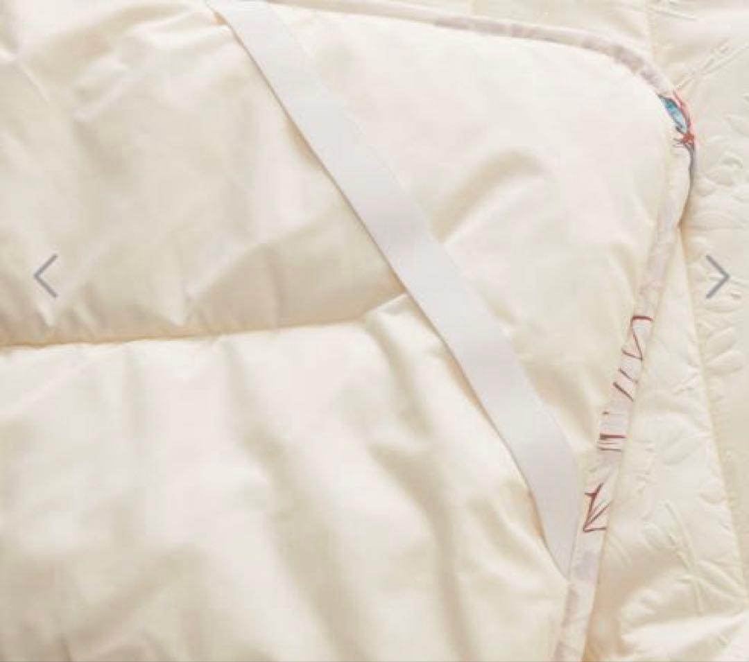 モリリン MRDメルティーリッチダウン敷きパッド＜セミダブル＞