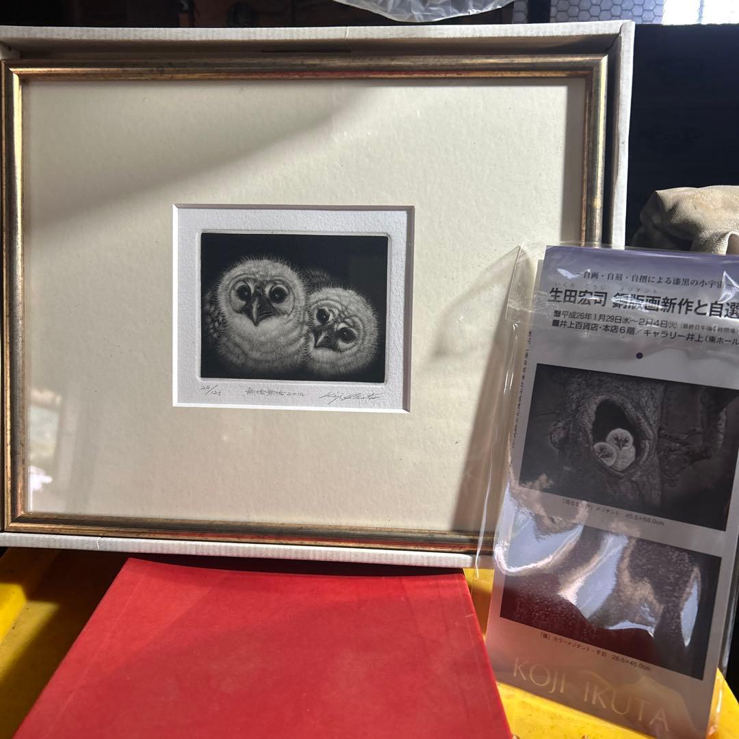 Koji Ikuta ふくろうの親子 エッチング