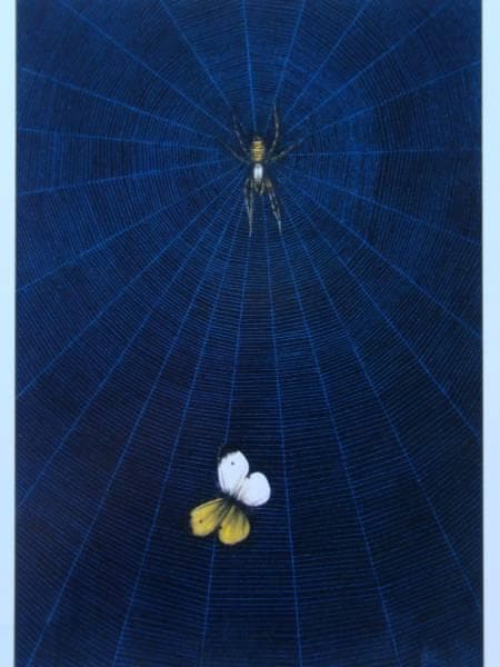 加山 又造、蜘蛛と蝶、希少画集画、新品額装、状態良好 - メルカリ