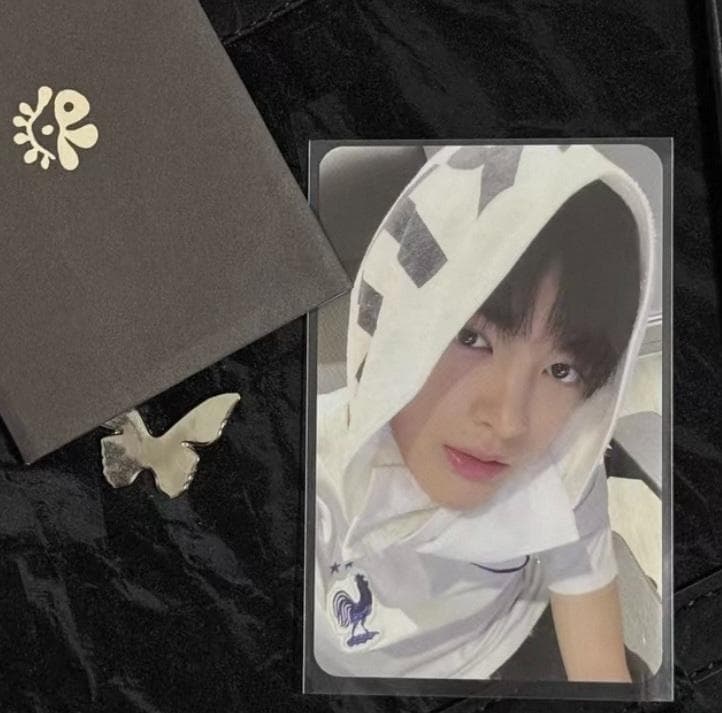 Cortis コルティス リリースパーティ 会場特典トレカ ゴンホ 公式