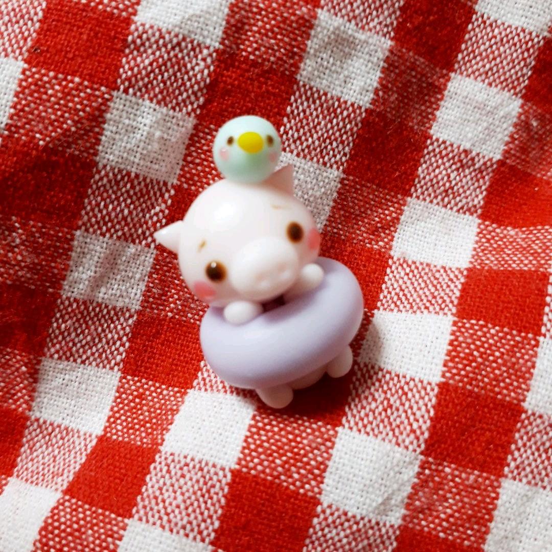 浮き輪ぶたさん♡