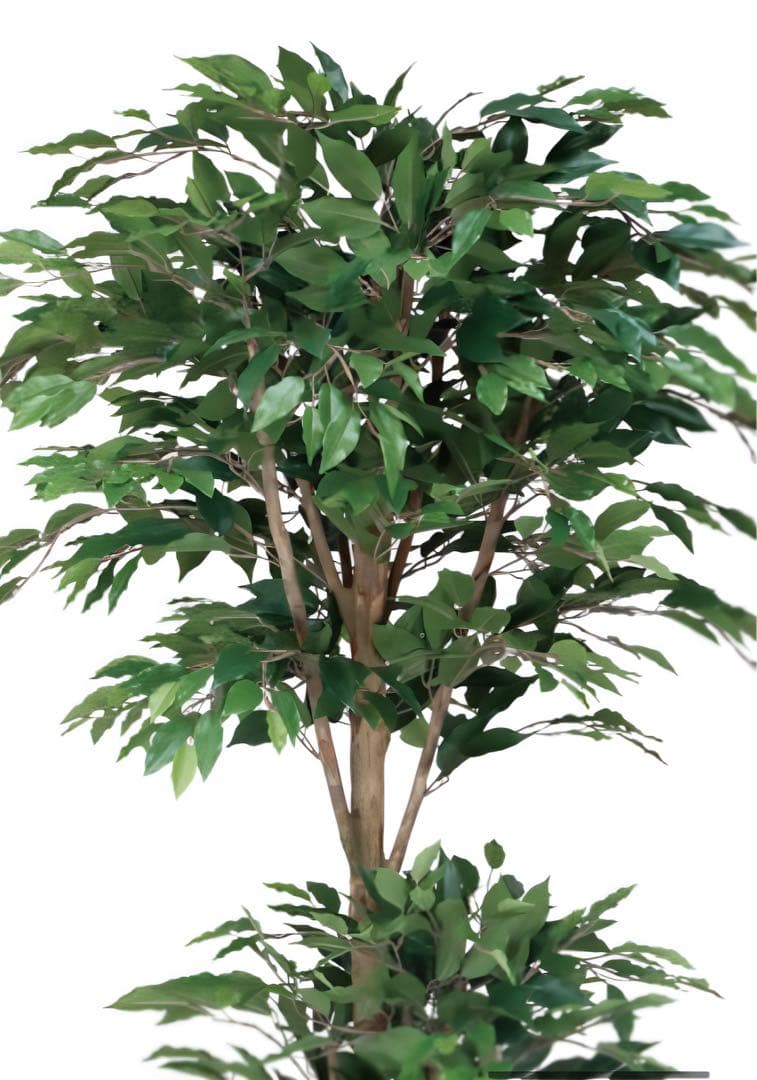 光触媒　人工観葉植物　フェイクグリーン　トロピカルベンジャミン 1.6m