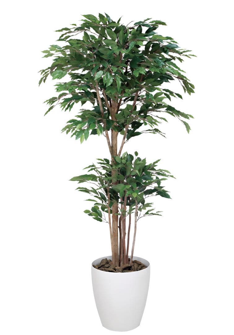 光触媒　人工観葉植物　フェイクグリーン　トロピカルベンジャミン 1.6m