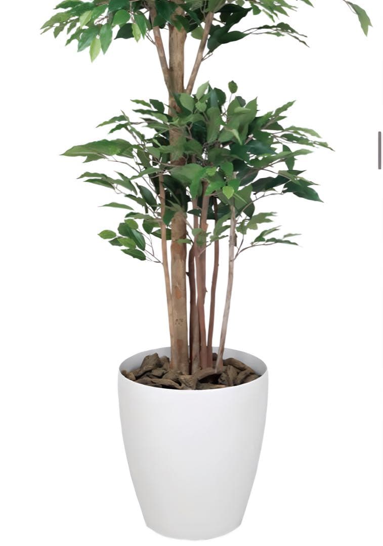 光触媒　人工観葉植物　フェイクグリーン　トロピカルベンジャミン 1.6m