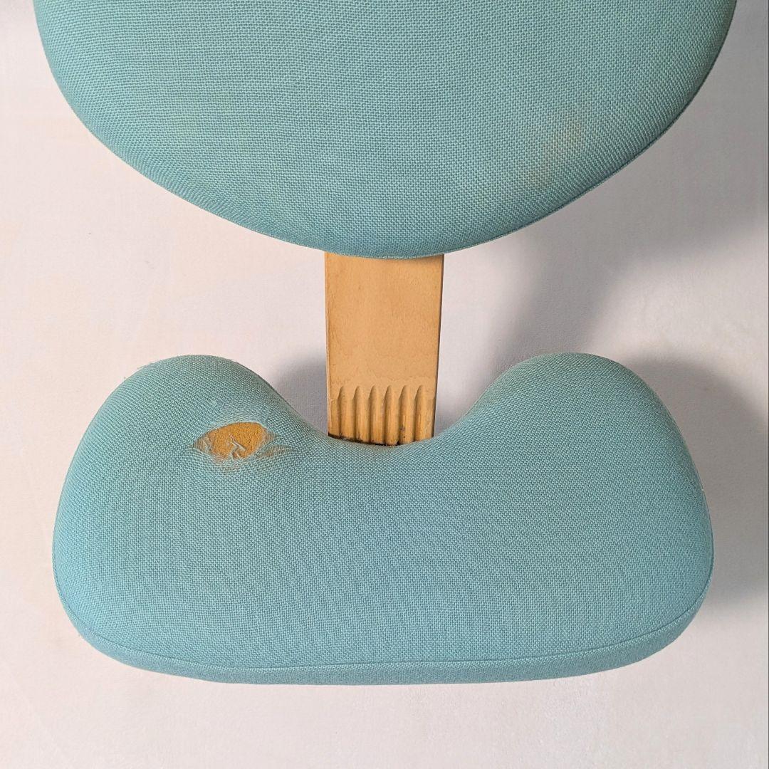 Rybo リボ バランスチェア バランスイージー チェックカバー付